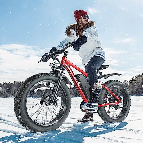 Vivi 500W Fat Tire Electric Mountain Bike