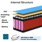 48V 14Ah Lithium Ebike Battery with Charger