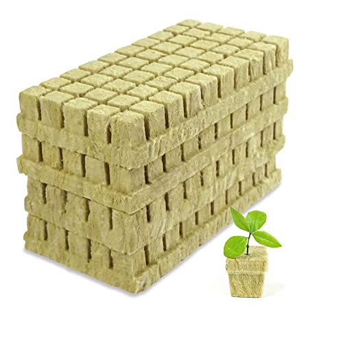 Rockwool Cubes for Hydroponics - 200 Count