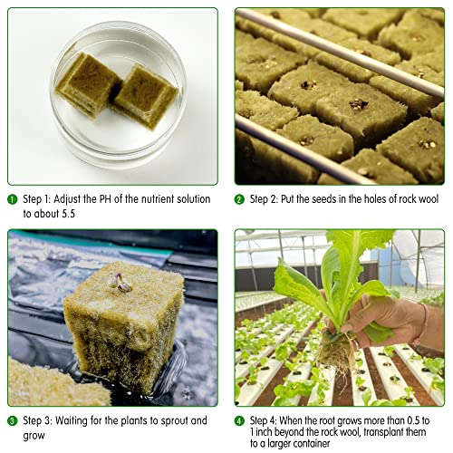 CastleGreens Rockwool Grow Cubes for Hydroponics