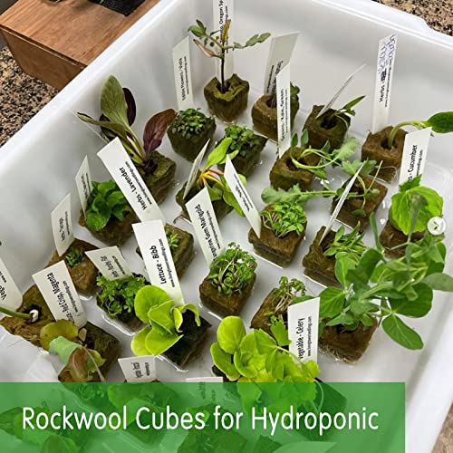 CastleGreens Rockwool Grow Cubes for Hydroponics