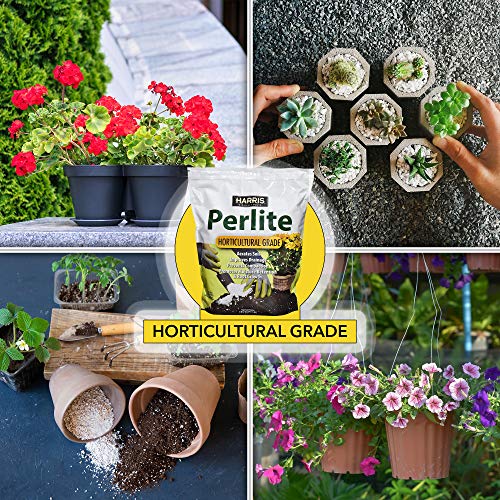 Harris Horticultural Perlite for Root Growth, 8qt
