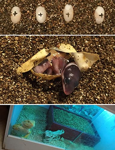 10QT Organic Vermiculite for Hydroponic Gardening