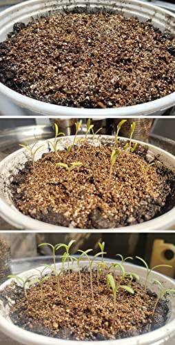 10QT Organic Vermiculite for Hydroponic Gardening