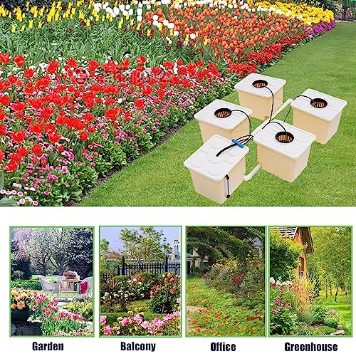 5-Bucket Hydroponic Growing System for Indoor Plants