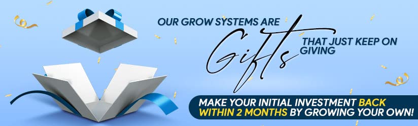 Cash Crop 7.0 Hydroponic LED Grow Box System