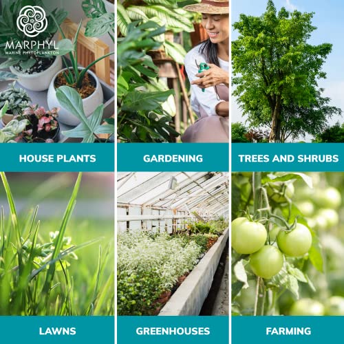 Organic Liquid Fertilizer for Hydroponics & Plants