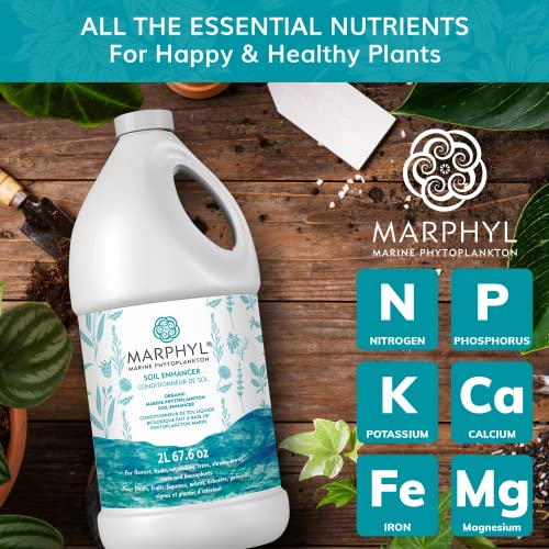 Organic Liquid Fertilizer for Hydroponics & Plants