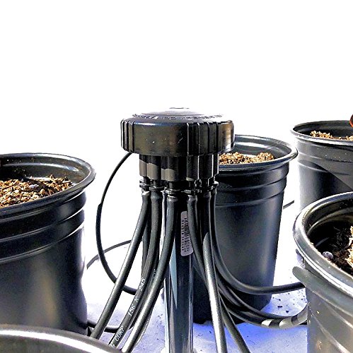12-Plant Hydroponic Drip Irrigation Starter Kit
