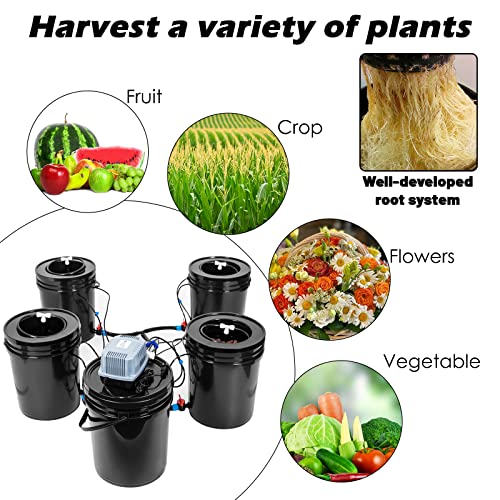 5 Gallon DWC Hydroponic Grow System Kit