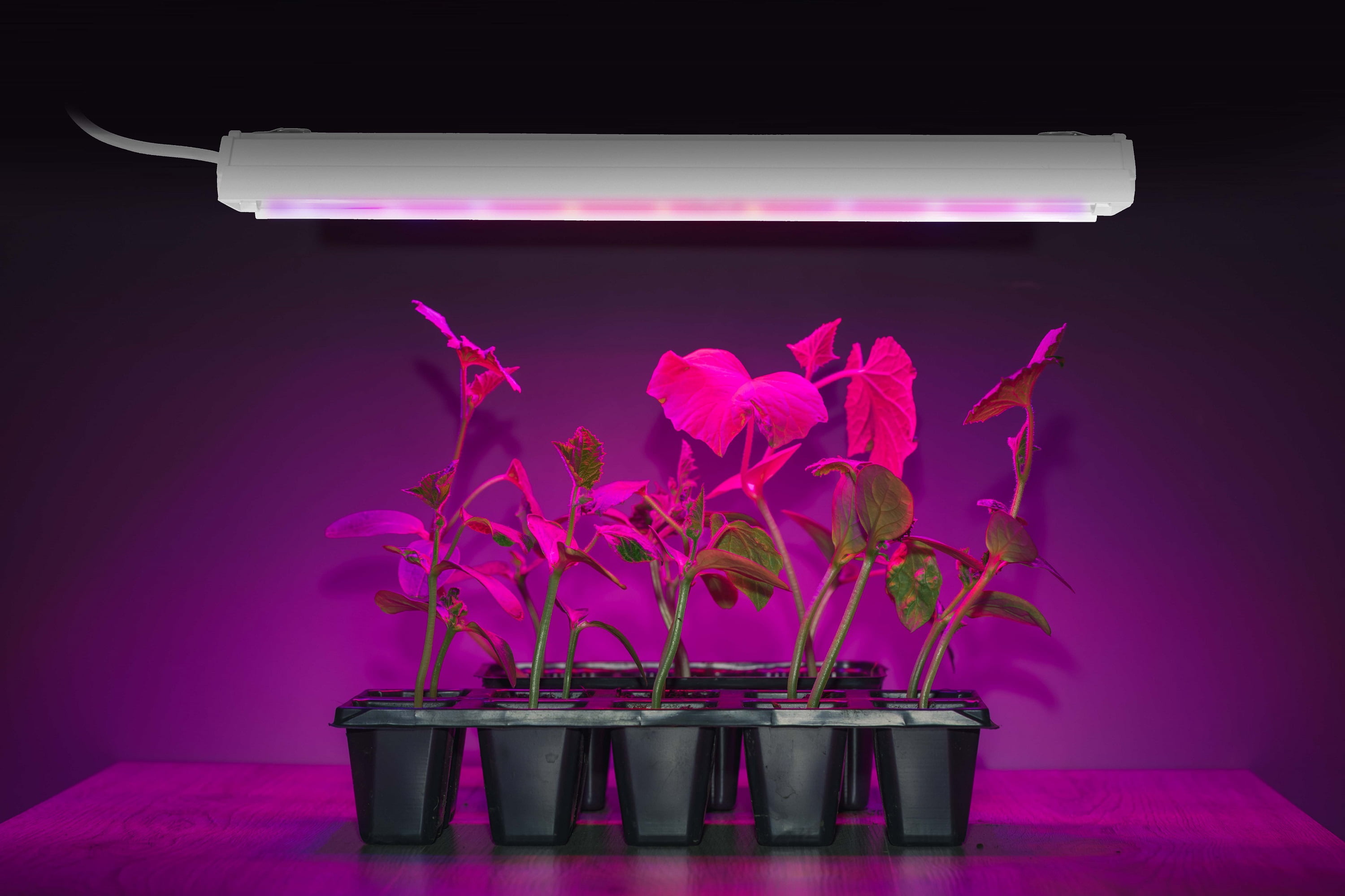 2 ft Linkable LED Grow Light with Spectrum Options
