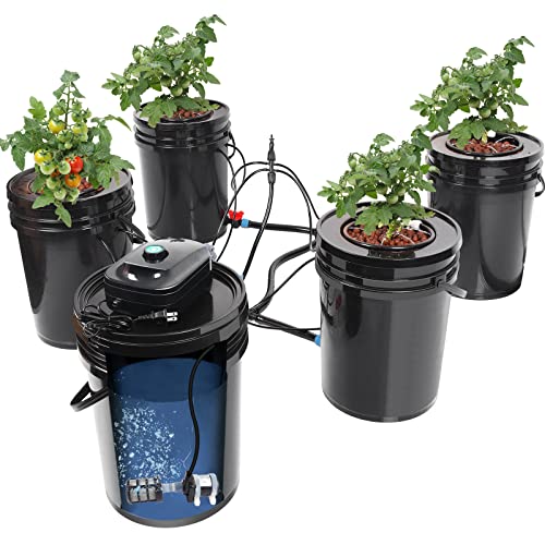 Bavnnro 5 Gallon RDWC Hydroponic Growing System