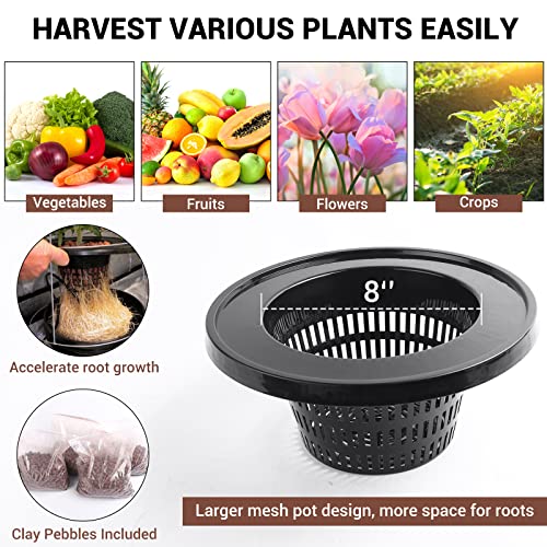 Bavnnro 5 Gallon RDWC Hydroponic Growing System