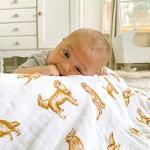 Golden Retriever Baby Swaddle Blanket, Soft & Large