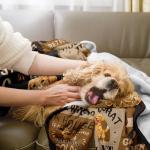 Cozy Golden Retriever Blanket for Dog Lovers