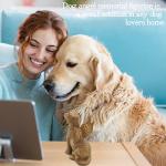 Rainbow Bridge Angel Figurine for Dog Lovers