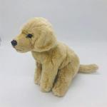 Golden Retriever Plush Stuffed Animal - 12 Inches