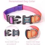 Reflective Adjustable Dog Collar in Misty Rose