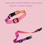 Reflective Adjustable Dog Collar in Misty Rose