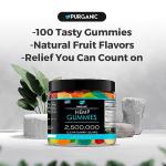 Purganic Hemp Gummies - 100% Natural Fruit Flavors