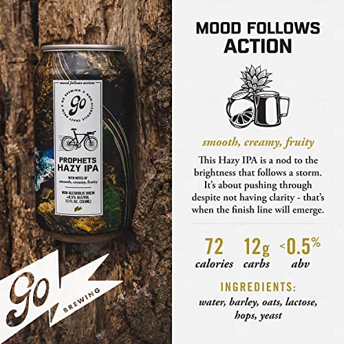 Non-Alcoholic Craft Beer Mixed Pack - Hazy & Burn It Down IPAs