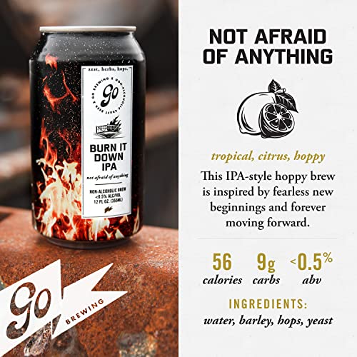 Non-Alcoholic Craft Beer Mixed Pack - Hazy & Burn It Down IPAs