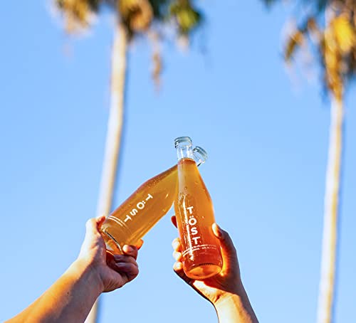 TÖST All-Natural Alcohol Free Sparkling Beverage, 25.4 Fl Oz (Pack of 3)