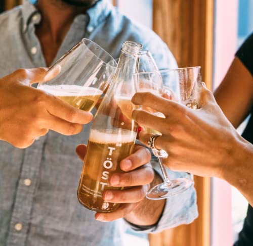 TÖST All-Natural Alcohol Free Sparkling Beverage, 25.4 Fl Oz (Pack of 3)