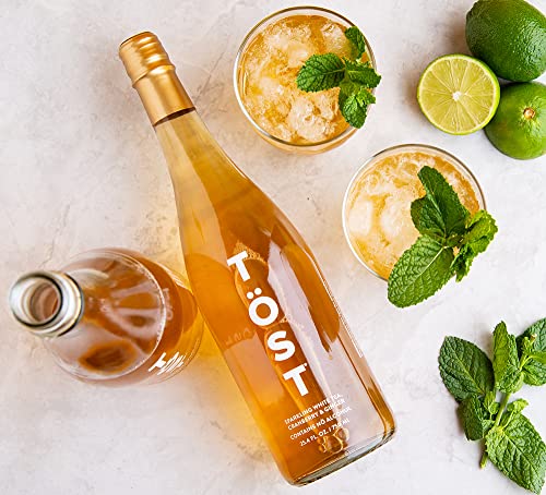 TÖST All-Natural Alcohol Free Sparkling Beverage, 25.4 Fl Oz (Pack of 3)