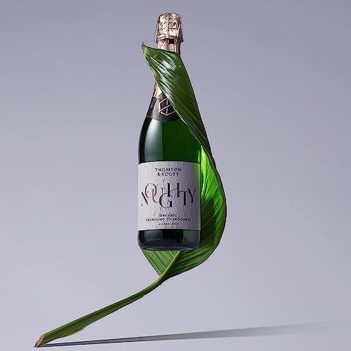 Thomson & Scott Noughty Organic Sparkling Chardonnay, 1 Bottle
