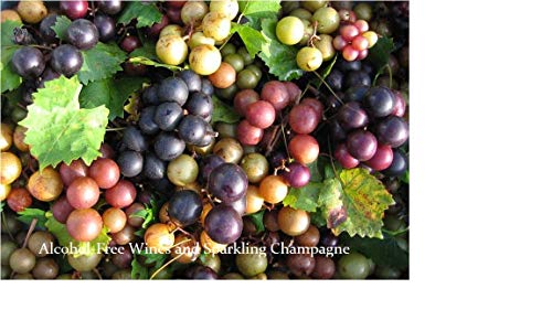 Carolina Red Non-Alcoholic Muscadine Beverage