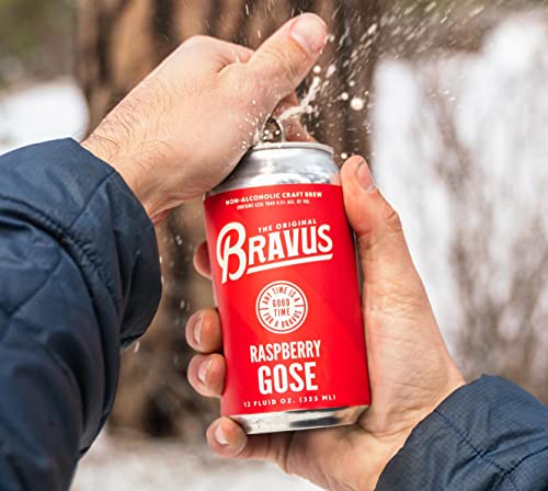 Bravus Non-Alcoholic Variety Sampler 12-Pack - Craft Brews