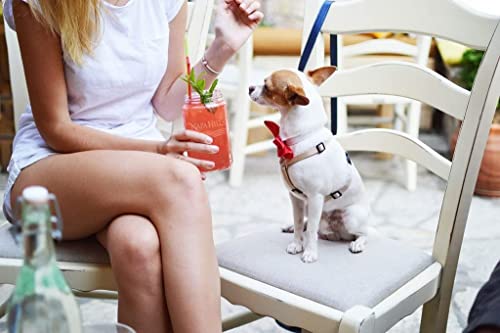 Napa Hills Flavored Wine Water - Antioxidant Enriched