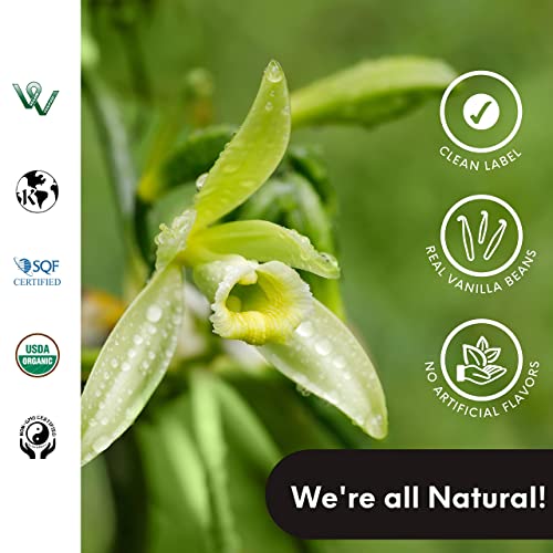 Organic Vanilla Flavor - Non Alcoholic Concentrate