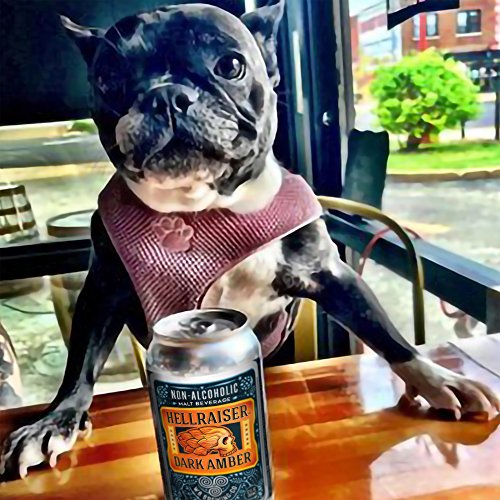 WELLBEING BREWING CO. 6 Pack Cans - Hellraiser Dark Amber Non-Alcoholic Craft Beer