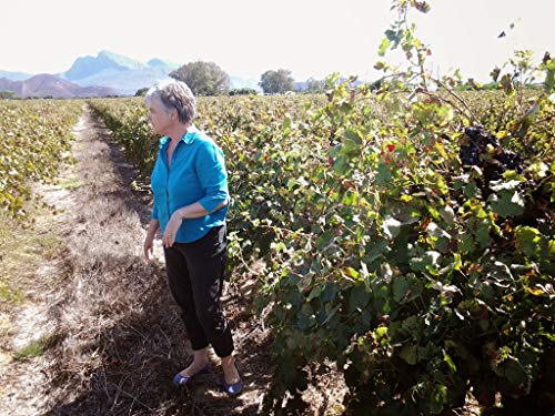 Red Muscadine Non-Alcoholic Beverage by Magnolia