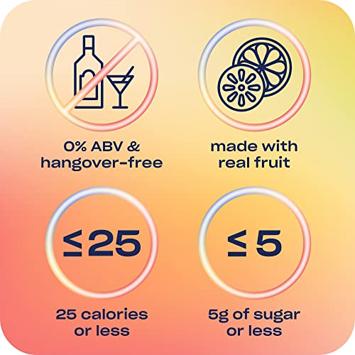 Recess Zero Proof Sampler: Craft Mocktails with Adaptogens