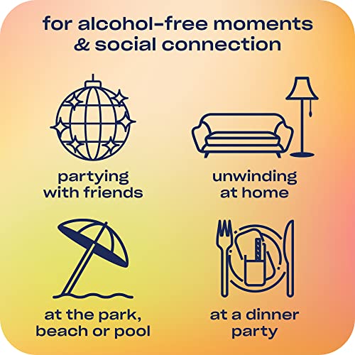 Recess Zero Proof Sampler: Craft Mocktails with Adaptogens