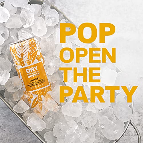 DRY Non-Alcoholic Botanical Bubbly |Ginger | Sparkling and ready to sip or Use as a Mocktail Mixer |Less Sweet, All Natural Ingredients, Non-GMO | Sophisticatedly zero-proof, 12 Fl Oz (Pack of 12)