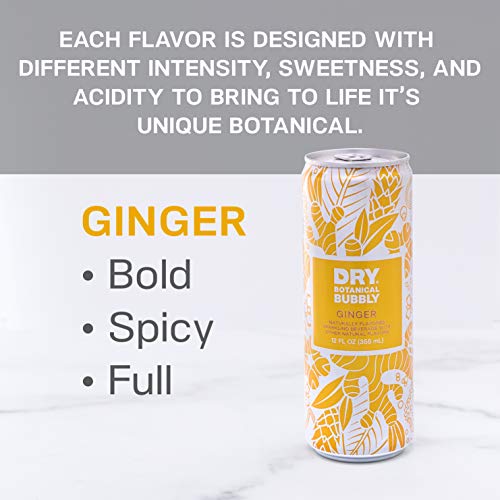 DRY Non-Alcoholic Botanical Bubbly |Ginger | Sparkling and ready to sip or Use as a Mocktail Mixer |Less Sweet, All Natural Ingredients, Non-GMO | Sophisticatedly zero-proof, 12 Fl Oz (Pack of 12)