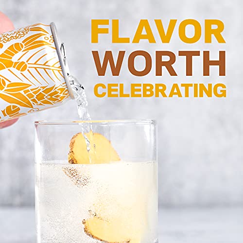 DRY Non-Alcoholic Botanical Bubbly |Ginger | Sparkling and ready to sip or Use as a Mocktail Mixer |Less Sweet, All Natural Ingredients, Non-GMO | Sophisticatedly zero-proof, 12 Fl Oz (Pack of 12)