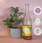 Teetotaler Non Alcoholic Wine - Sparkling Rosé Wine, 750mL Bottle | Alcohol Free Wine | Great for Baby Showers | Made in Spain from Tempranillo Grapes | Crisp & Refreshing | Low Sugar Beverage