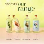 Seedlip Spice 94 - Non-alcoholic Spirit | Calorie Free, Sugar Free | Spirit Alternative | Alcohol Free Cocktails | 23.7fl oz (700ml)