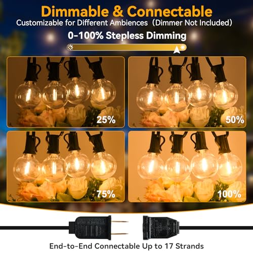 100ft Outdoor Waterproof Dimmable String Lights - 2-Pack