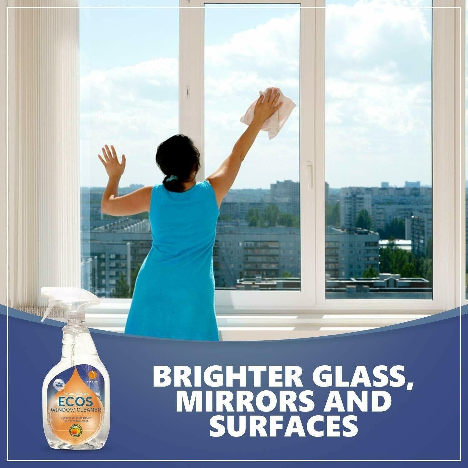 Eco-Friendly Window Cleaner with Vinegar, 22 Oz