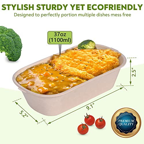 50 Pack Compostable Meal Prep Containers with Lids