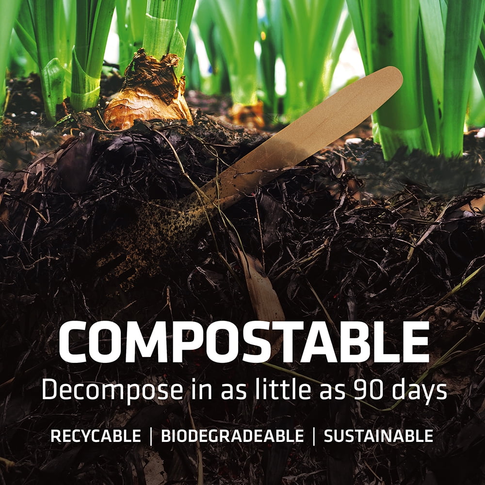 Biodegradable Wooden Utensils for Parties