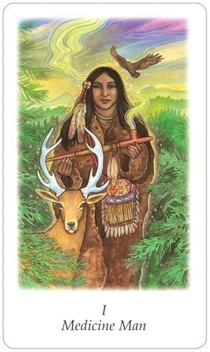 Vision Quest Tarot Deck by Gayan Sylvie Winter
