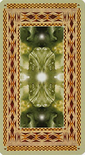 Native American Tarot Cards and Guidebook