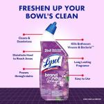 Lysol Lavender Toilet Bowl Cleaner Gel - 24 oz